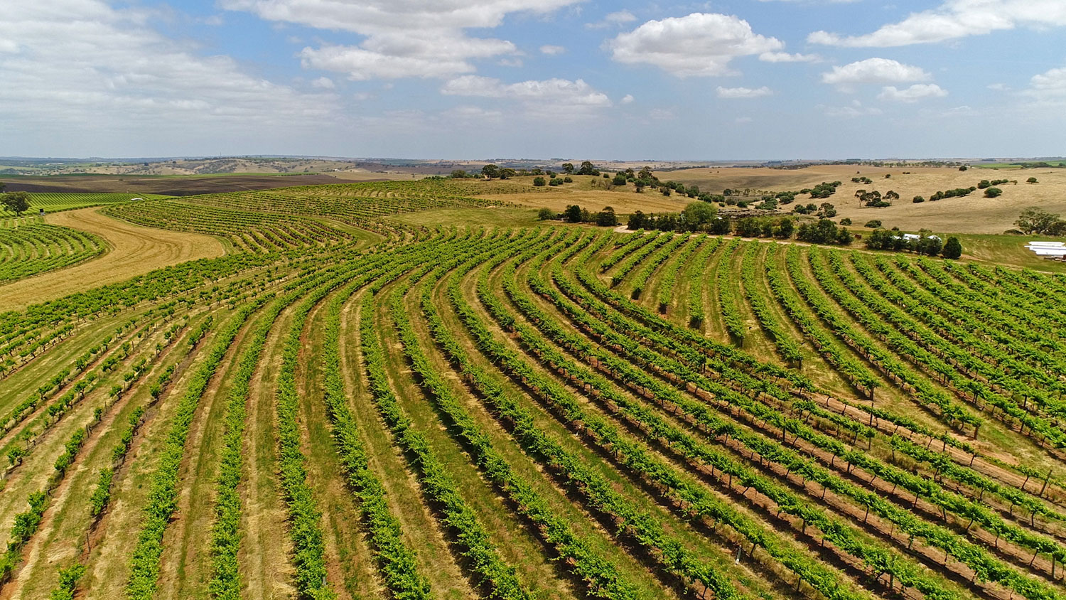 Barossa Valley