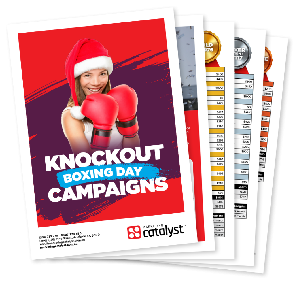 Digital Marketing Packages for Boxing Day